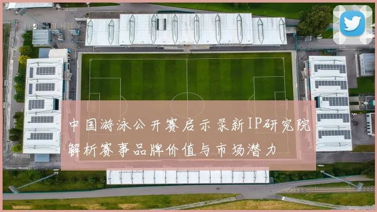 中国游泳公开赛启示录新IP研究院解析赛事品牌价值与市场潜力